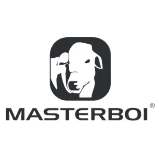 Logo Masterboi